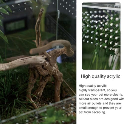 Acrylic Clear Reptile Habitat Enclosure Terrarium with Latch ，Perfect for Amphibians and Invertebrates Such as Spiders, Frogs, etc (Vertical)