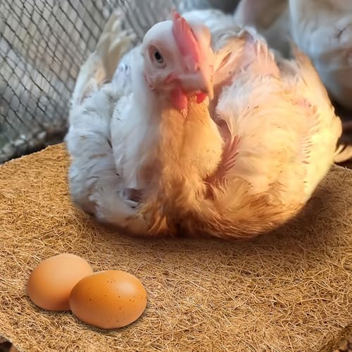 3Pcs Reptile Carpet Mat Chicken Coop Nesting Coconut Fiber Liner Easy Clean Cuttable Reusable for Hen Egg Laying Breeding Pet Bird Garden Agriculture 10Inch(25cm) X10Inch(25cm)