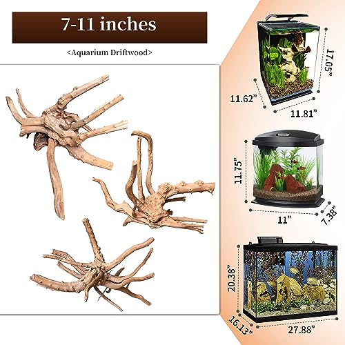 majoywoo Natural Driftwood for Aquarium Decor Fish Tank Decor Reptile Decor | Assorted Spiderwood Branch 7-11" 3 Pcs, Natural Spiderwood for Aquascaping and Reptile Decor - size: Spiderwood 7 to 11 Inch(Pack of 3)