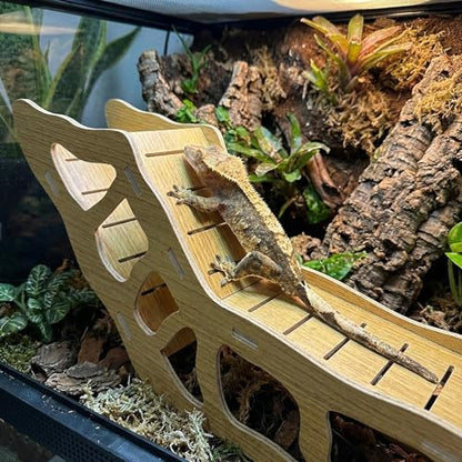 3-in-1 Poplar Wood Reptile Hideout with Sloped Ramp & Tunnel, Golden-Brown Terrarium Decor for Bearded Dragon, Lizard, Snake, Gecko, Lightweight Easy-Clean Habitat (Golden-Brown Poplar Wood)