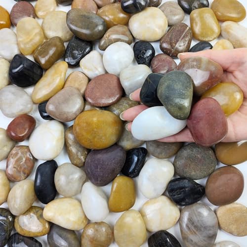 FANTIAN 2 lbs Pebbles for Plants, 1-2 inch Polished River Rocks for Plants Indoor Aquarium Terrarium, Stones for Planters Vase Landscaping and Outdoor Yard Decorative Stones - size: 1-2 Inch, style: 2 Pounds