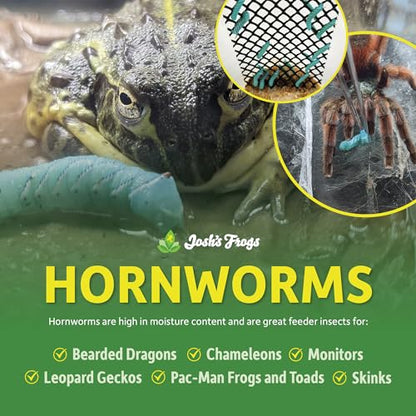 Josh's Frogs Hornworms Habitat Cup (12x6 Count Cup) - size: 12 Count (Pack of 6)