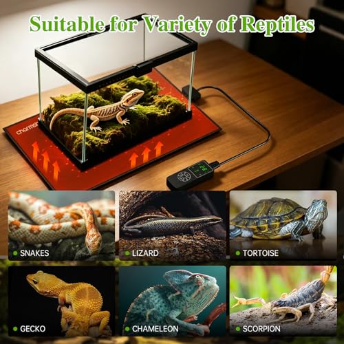 8 by 18-inch 25W Reptile Heating Pad Graphene with Temperature Control Reptile Tank Heat Pad Terrarium Under Tank Heater Mat for Snake Lizard Hermit Crab Reptiles Turtle Thermostat - size: 8"x18" 25W