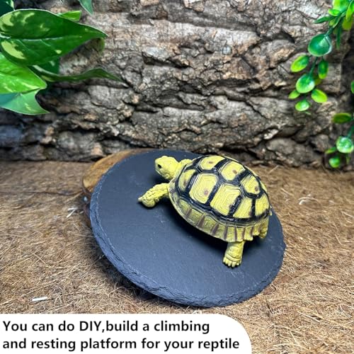 Reptile Basking Platform 6.0IN Turtle Rock Slate Plate Food Bowl Feeding Dish Tortoise Bathing Resting Terrace for Bearded Dragon Chameleon Gecko Snake Lizard Frog Newt - size: 6.0inch(1pcs)