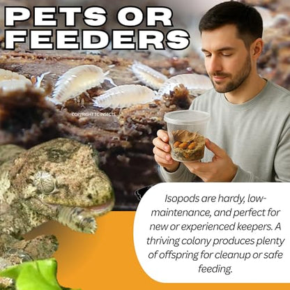 Dwarf White Isopods (Qty-25), Bioactive Clean Up Crew Frog Reptile Amphibian Food Bundle - by TC INSECTS