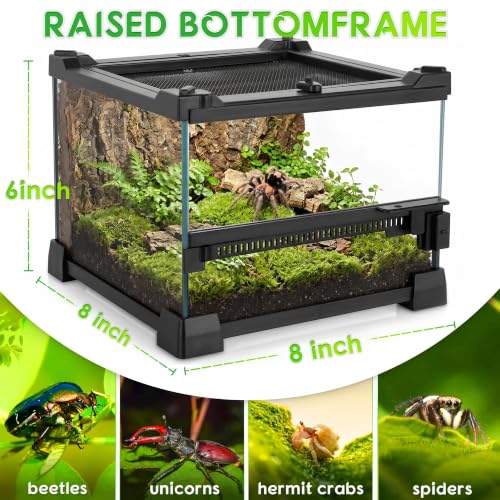 8"x8"x6" Reptile Terrarium, Single-Door Glass Terrestrial Vivarium for Small Arthropod Pets Such as Trinidad Dwarf Tiger Tarantulas, with Lock & Waterproof Deep Base Below Front Door