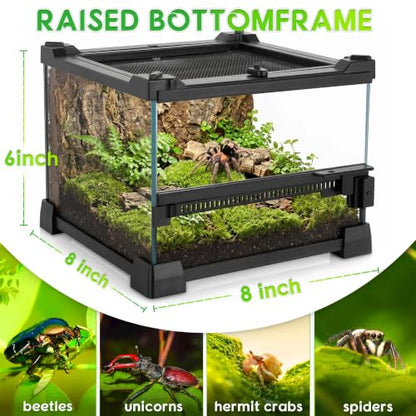 8"x8"x6" Reptile Terrarium, Single-Door Glass Terrestrial Vivarium for Small Arthropod Pets Such as Trinidad Dwarf Tiger Tarantulas, with Lock & Waterproof Deep Base Below Front Door