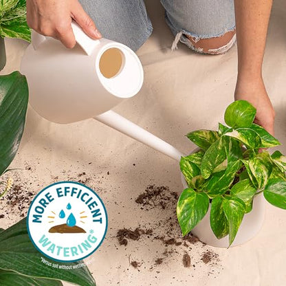 Back to the Roots 100% Organic Indoor Potting Mix (Value 12 Quart) | Promotes Healthy Houseplant Growth| Made in The USA - size: 12 Quart, style: Indoor Soil