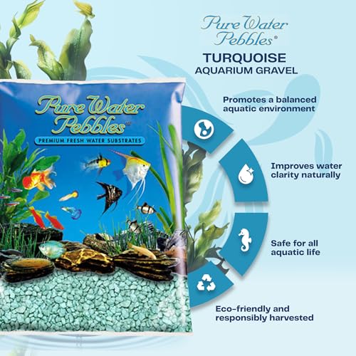 Turquoise Aquarium Gravel - 5 lbs - Non-Toxic, Colorfast, Vibrant Substrate for Aquariums, Terrariums, Ponds & Crafts - color: Turquoise, size: 5 lb (Pack of 1)