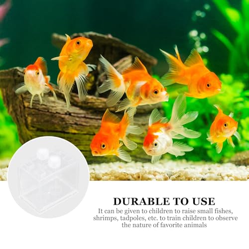 HOMSFOU Mini LED Light-up Acrylic Aquarium Kit, Small Desktop Terrarium with Full Spectrum LED Light, Creative Micro Aquatic Ecosystem for Home and Office Decor