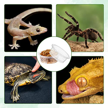 EBOOT 500 Pcs Plastic Feeder Cups - Reptile Water & Food Bowls for Gecko, Lizards, Tarantula & Other Small Pets (0.5oz)