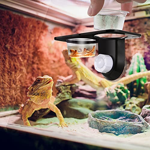 2pcs Reptile Bowl Reptile Drinking Basin Large Capacity Water Basin Reptile Food Basin Feeder with Suction Cup Reptile Feeder Feeding Supplies Lizard Food Bowl Stable Lizard Feeder