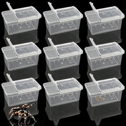 12 Pcs Mini Reptile Feeding Box, 3.6 x 2.1 x 1.9 inch Plastic Spider Terrarium Breeding Container with Ventilation Holes, Transparent Habitat Cage for Jumping Spider Tarantula Scorpion Gecko Insect