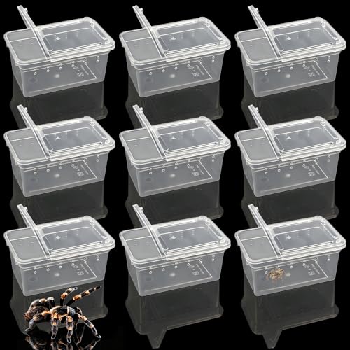 12 Pcs Mini Reptile Feeding Box, 3.6 x 2.1 x 1.9 inch Plastic Spider Terrarium Breeding Container with Ventilation Holes, Transparent Habitat Cage for Jumping Spider Tarantula Scorpion Gecko Insect