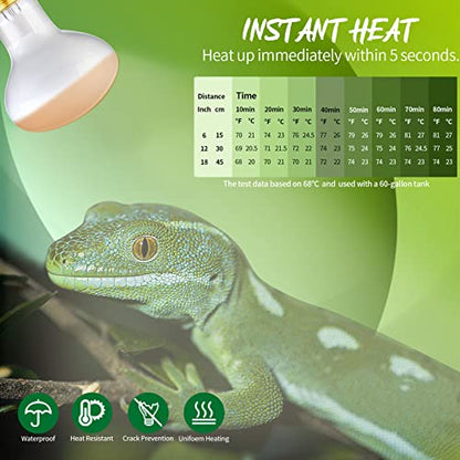 2 Pack 75W Reptile UVA Basking Spot Bulbs | Infrared Heat Emitter, White Glass Glow, Simulate Natural Sunlight, E26 Base, Bearded Dragon, Amphibians, Lizard, Tortoise