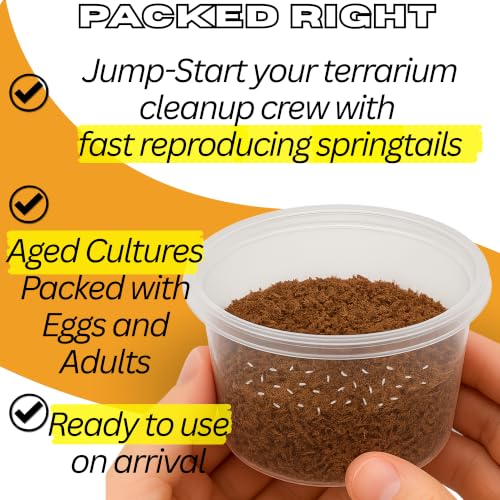 30 Powder Orange Cream Isopods | Live Cleanup Crew for Bioactive Reptile and Amphibian Habitats | Live Arrival Nationwide!