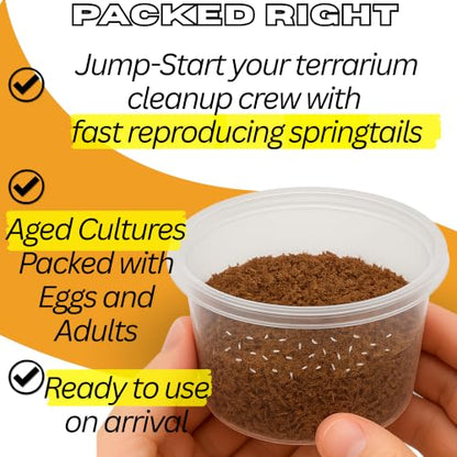 30 Powder Orange Cream Isopods | Live Cleanup Crew for Bioactive Reptile and Amphibian Habitats | Live Arrival Nationwide!