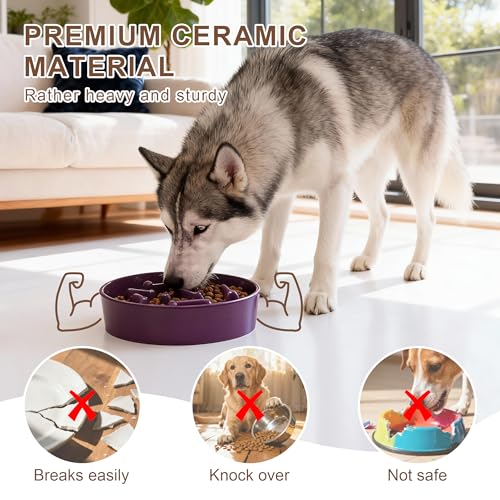 Ceramic Slow Feeder Dog Bowls, Ceramic Slow Feeder Maze Dog Food Bowl, Slow Eating Dog Bowl and Slow Feeder Dog Bowl Anti-Choking for Daily Pet Feeding （Purple Bone） - color: Purple Bone