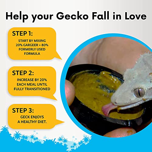 Gargeer 8oz Gentle Geck Mulberry Diet - Crested Gecko Food. Made in USA | Expert-crafted superfood! Infused with organic mulberry, wild insect proteins & probiotics. No soy, wheat, or fillers - size: 8 Ounce (Pack of 1)