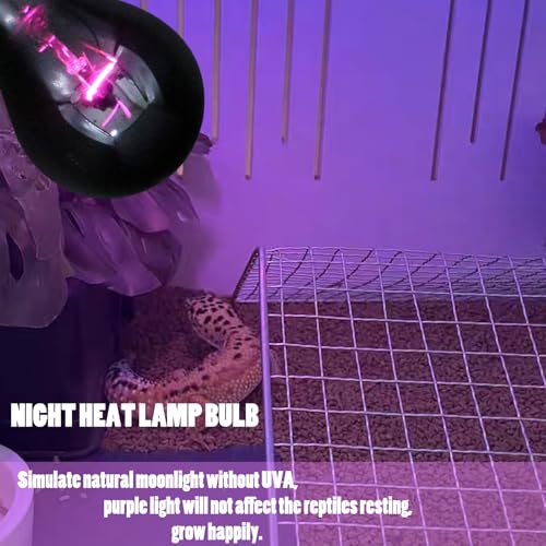 Reptile Heat Lamp 75W, Night Heat Bulb Simulate Nature Moonlight Purple Bulbs, Amphibians Basking Spot Light Bulb for Bearded Dragon, Gecko, Snake, Lizard and Turtle, E26 Base, 2 Pack