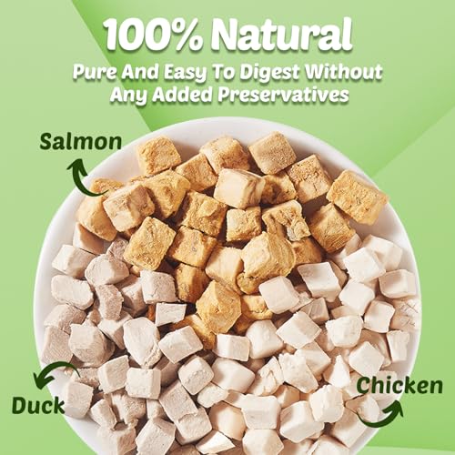 Turtle Food - Natural Freeze-Dried Meat