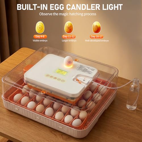 56 Egg Incubator with Temperature & Humidity Control | Automatic Egg Turning, Egg Candler, Automatic Water Filling, Day Counter