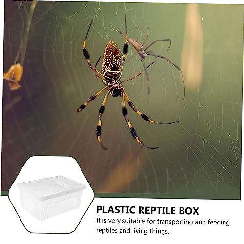 Toddmomy 1Pc Plastic Transparent Feeding Box for Reptiles Durable Container for Snakes Geckos Tortoises and Pets for Transport and Habitat White
