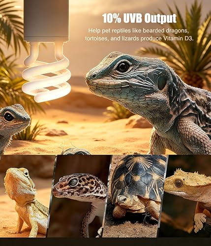 2-Pack E26 Reptile UVB Light Bulb 13W UVA UVB 10.0 | Compact Fluorescent Lamp for Bearded Dragon, Tortoise, Lizard, Suitable for Desert Reptile Vivarium Tank - size: 13W UVB 10.0