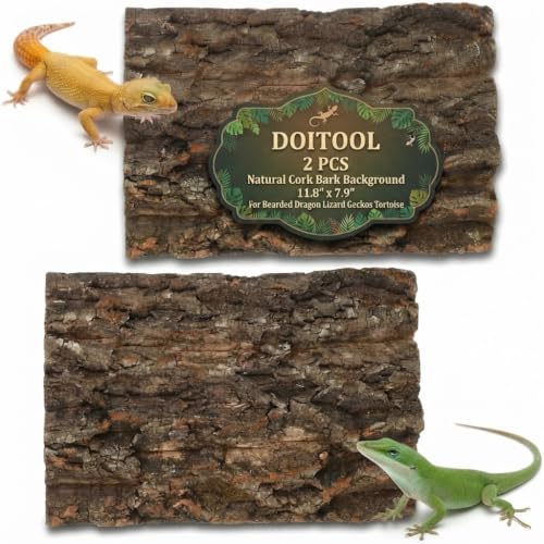 DOITOOL 2 PCS Natural Cork Bark Background, 11.8" x 7.9" Reptile Tree Bark Reptile Hides for Tank Backdrop Climbing Wall Terrarium Decor Accessories for Bearded Dragon Lizard Geckos Tortoise