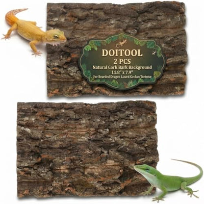 DOITOOL 2 PCS Natural Cork Bark Background, 11.8" x 7.9" Reptile Tree Bark Reptile Hides for Tank Backdrop Climbing Wall Terrarium Decor Accessories for Bearded Dragon Lizard Geckos Tortoise
