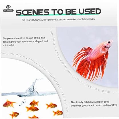 Mikikit 2pcs Mini Fish Tank Led Lights Small Reptile Boxes Compact Transparent Aquarium for Betta Fish for Desktop Decor and Breeding Stylish and Space-Saving