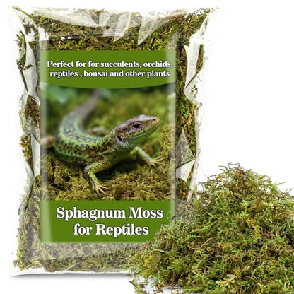 Sukh Sphagnum Moss for Reptiles - 5.5 OZ Reptile Peat Moss Terrarium Bedding Reptiles Lizard Substrate for Reptile Tank, Snake, Leopard Gecko, Ball Python, Crested Gecko, Turtle, Frog, Hamster - size: 5.5 Ounces