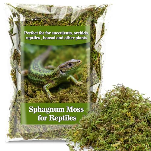 Sukh Sphagnum Moss for Reptiles - 5.5 OZ Reptile Peat Moss Terrarium Bedding Reptiles Lizard Substrate for Reptile Tank, Snake, Leopard Gecko, Ball Python, Crested Gecko, Turtle, Frog, Hamster - color: Green, size: 5.5 Ounces