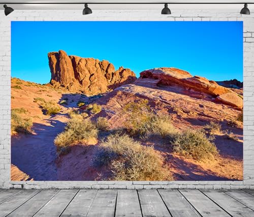 7x5FT Desert Backdrop Reptile Habitat Blue Sky Desert Rocky Bush Natural Scenery Photography Background Aquarium Background Hiking Camping Pictures Home Decor Photo Studio Props - color: Natural landscape backdrop 3