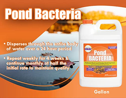 PondWorx Pond Bacteria - Formulated for Large Ponds, Water Features and Safe for Koi - Gallon - size: 1 Gallon (128oz)