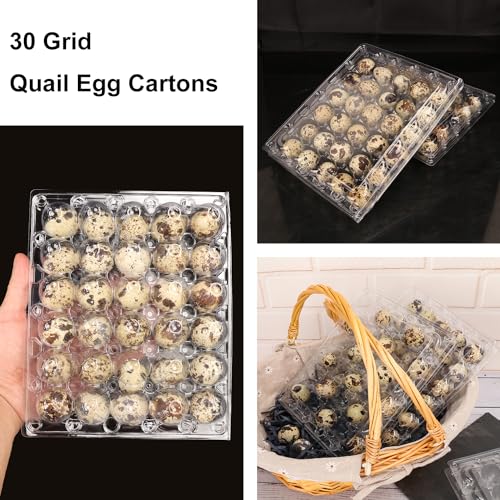 100 Pack Quail Egg Cartons, Clear Plastic Quail Egg Trays, Holds up to 30 Quail Eggs Securely - Your Ultimate Small Eggs Carton Holders for Bulk Storage and Display by KUKLIPJIM - size: 100 Pack Quail Egg Cartons 30 Grids