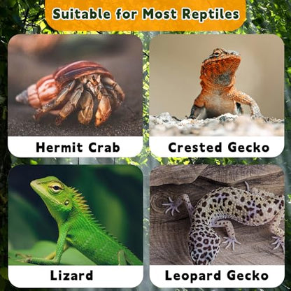 Hermit Crab Moss Coconut Shell Hideout with Climb Ladder,Leopard Gecko Hide Hut with Moss and Sea Shells,Hermit Crab Climbing Tank Accessories for Crested Gecko,Reptiles