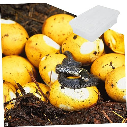 Abaodam Hatching Reptile Breeding Box Incubation Container for Lizards Snakes and Geckos Easy to Clean Design for Repeated Use and Visibility