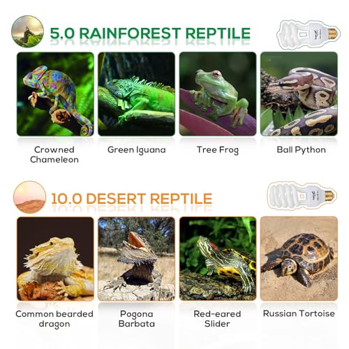 UVB Bulb for Reptiles, 10.0 26W UVB Light for Reptiles, Hygger zoo UVA UVB Reptile Light Bulb Reptile UVB Bulb UVB Light for Bearded Dragon Turtle Lizard Reptile Lamp Terrarium Lamp for Desert Reptile - size: 10.0-6.1 Inch