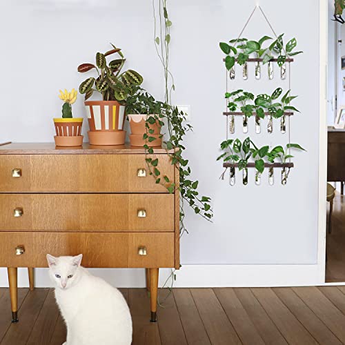 XXXFLOWER Wall Hanging Propagation Station with Wooden Stand 5 Glass Test Tubes 3 Tiered Planters Wall Terrarium for Home Office Plant Hanger Flower Vases Wall Decor Hydroponic Cuttings | 3 Tiers Plant Propagation Tubes Wall Decor Hydroponic Cuttings Plan