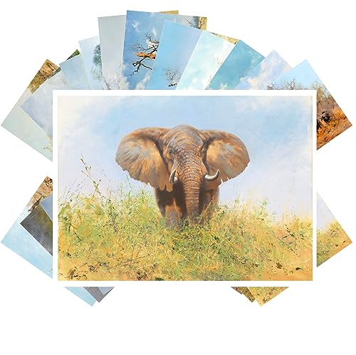 PIXILUV Vintage Postcards (24 pcs 4"x6" each) Beautiful Paintings of Large African Animals Vintage Postcards Antique Botannical Book Illustration Poster - color: Red