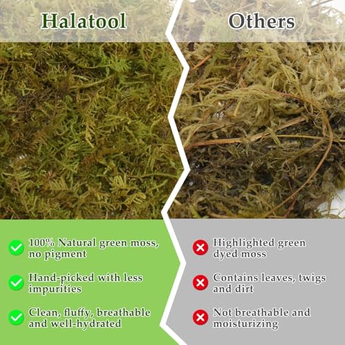 Halatool 1.1LB Sphagnum Moss & 10LB Coco Chips Substrate for Reptiles, Terrariums, Humidity Retention, Bedding, Nesting & Burrowing