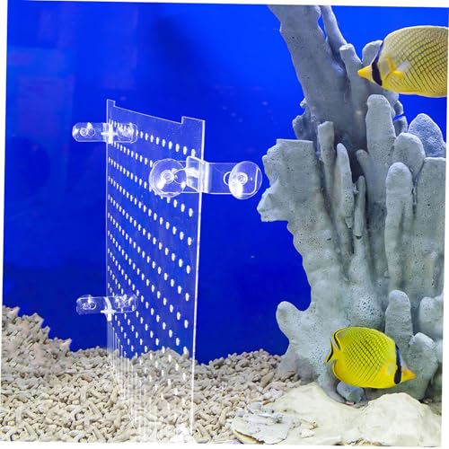 BESPORTBLE 1 Set Fish Tank Divider - Transparent Acrylic Aquarium Isolation Net Adjustable Fish Separator Dividing Net Plate for Shrimp Reptiles