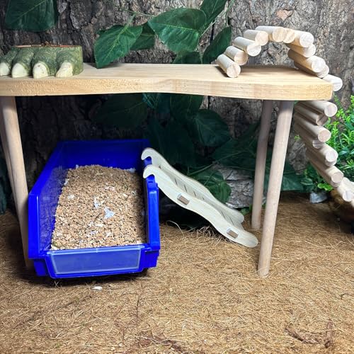 Reptile Digging Box Plastic Leopard Gecko Burrowing Habitat Hide Box with Wooden Ladder Compatible with Terrariums Tailored for Juvenile Bearded Dragons and Snake in Compact Setups (Blue) - color: Blue