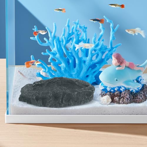 HANABASS Reptile Feeder Water Bowl 4.33X3.34X0.98 Inch Durable Resin Feeding Dish for Lizards Tortoises Amphibians Terrarium Use