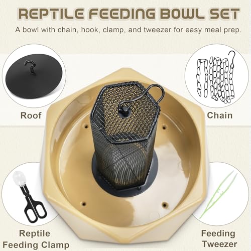 Chameleon Feeding Bowl, Hanging Insect Feeder with a Pillar for Prey to Climb Up, Suitable for Chameleon, Bearded Dragon, Lizard, Iguana, Gecko(Khaki) - color: Khaki