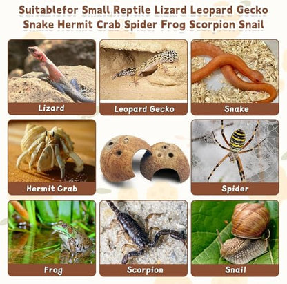 PINVNBY Natural Coconut Reptile Hideouts Lizard, Coco Hut Hermit Crab Hut Aquarium Fish Hide Cave for Small Reptile Crested Gecko Leopard Gecko Spider Snail Climber Toys (6 PCS Natural Surface) - size: 6 PCS Natural Surface