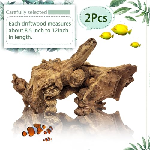 Tfwadmx Aquarium Natural Driftwood Decor Wood Branches, 2 Pieces 8.5-12" Fish Tank Driftwood Decoration, Terrarium Mopani Wood for Aquarium Freshwater Reptile Tank - size: Large: 8-12"(2Pcs)