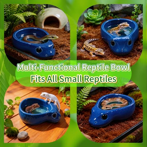 Ceramic Reptile Water Dish, Blue | Snake Water Bowl, For Snake, Leopard Gecko, Bearded Dragon and Lizard, Bathing Pool Food Feeding Dish - color: Blue