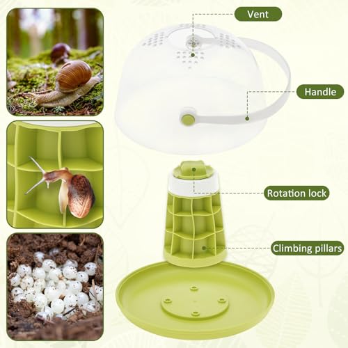 Snail Terrariums Breeding Box, Portable Plastic Habitat with Air Vents & Removable Base, Round Snail Habitat Starter Terrarium Kit, Transparent Feeding Box for Beetles, Spiders and Small Reptile